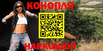 Альфа ПВП Кингисепп